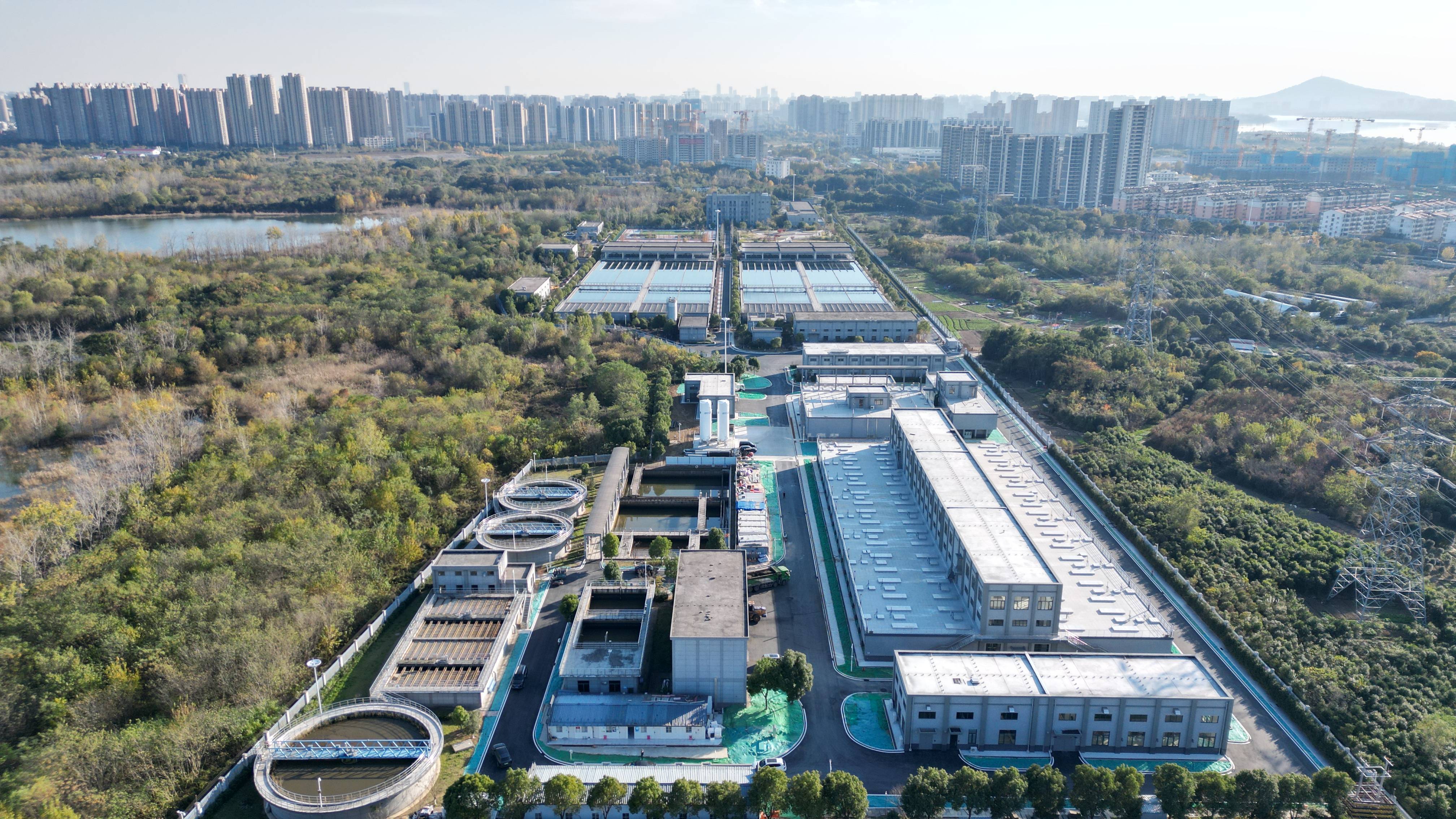 日喀则市合肥专业企业价值增长(合肥市重点企业产业目录)