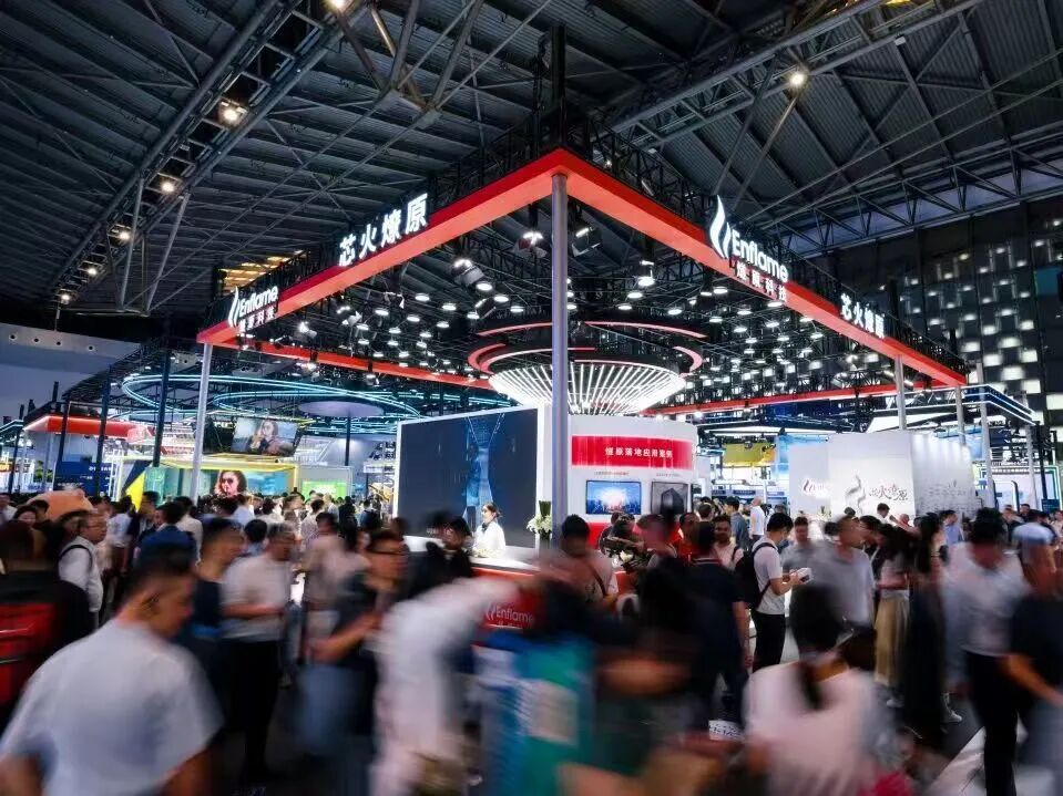 日喀则市成熟期IPO辅导(成熟期的上市公司有哪些)