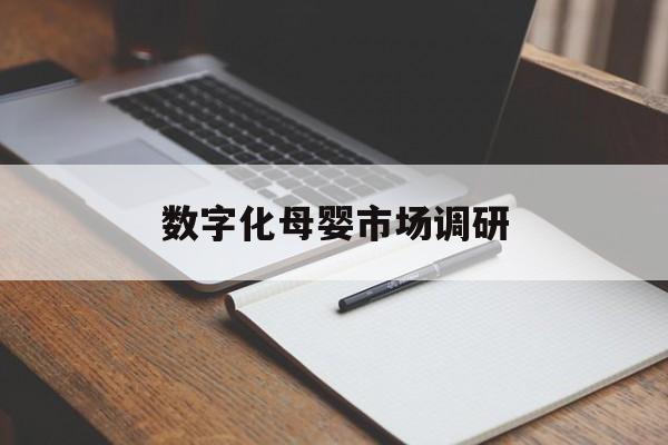 日喀则市数字化母婴市场调研(数字化母婴市场调研报告)